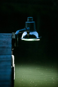 Bo-Jo Fishlight Attractor