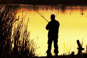 Fishing the Pond